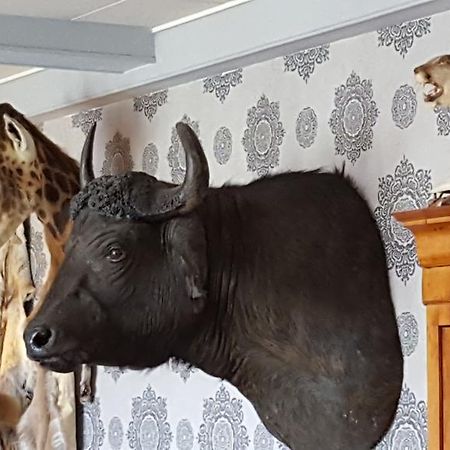 Hotel Chalet Sur Lesse Maissin Zewnętrze zdjęcie