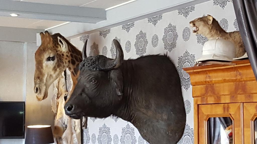 Hotel Chalet Sur Lesse Maissin Zewnętrze zdjęcie